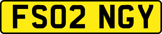 FS02NGY