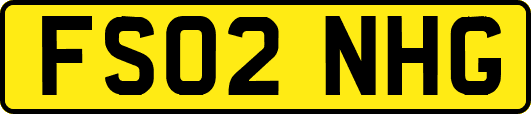 FS02NHG