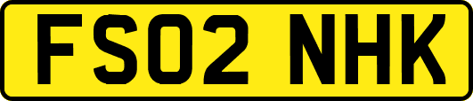FS02NHK