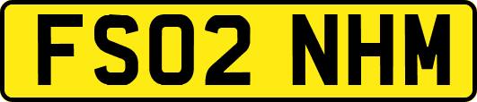FS02NHM