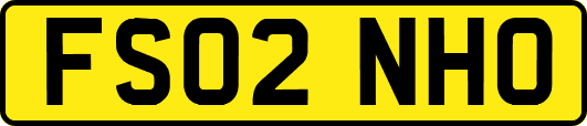 FS02NHO