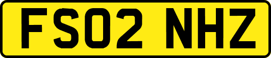 FS02NHZ