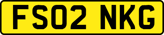 FS02NKG