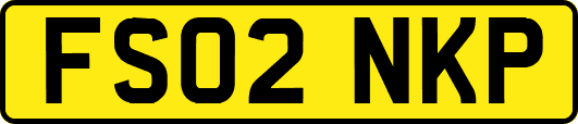 FS02NKP