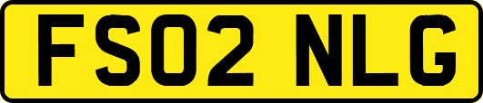 FS02NLG