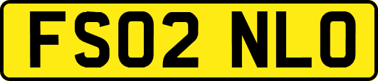 FS02NLO