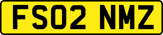 FS02NMZ