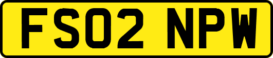 FS02NPW