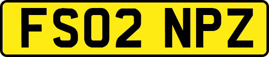 FS02NPZ