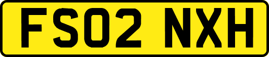FS02NXH