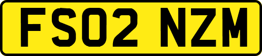 FS02NZM