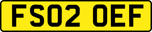 FS02OEF