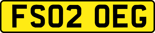 FS02OEG