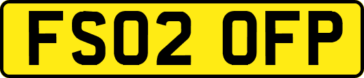 FS02OFP