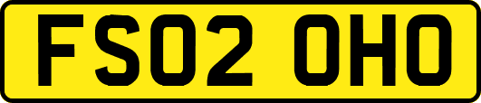 FS02OHO