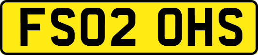 FS02OHS