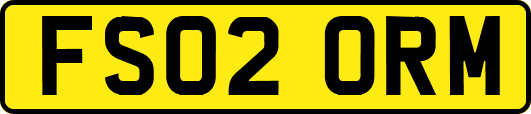 FS02ORM