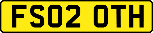 FS02OTH