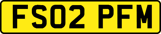 FS02PFM