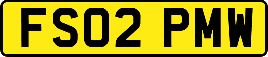 FS02PMW