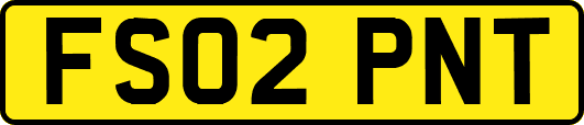 FS02PNT