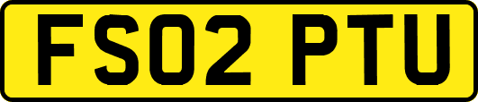 FS02PTU