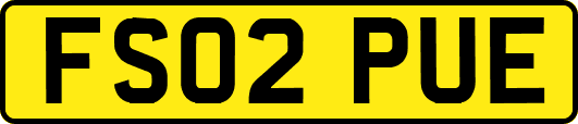 FS02PUE
