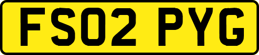 FS02PYG