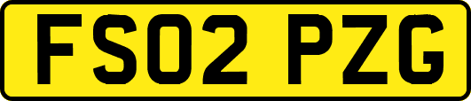 FS02PZG