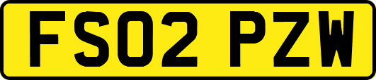 FS02PZW