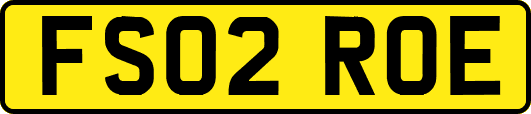 FS02ROE