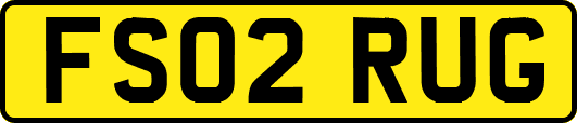 FS02RUG