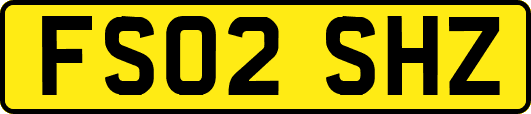 FS02SHZ