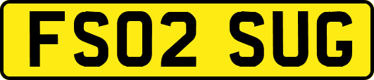 FS02SUG