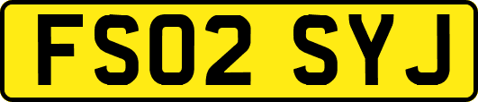 FS02SYJ