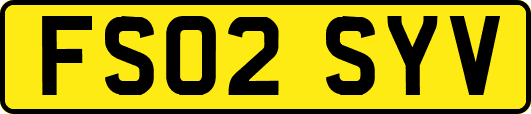 FS02SYV