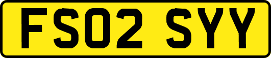 FS02SYY