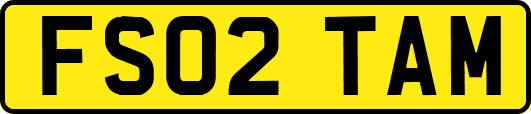 FS02TAM
