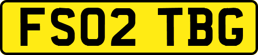 FS02TBG