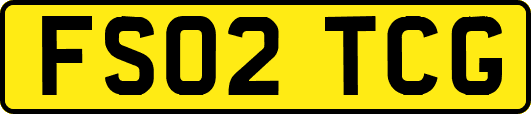 FS02TCG