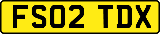 FS02TDX
