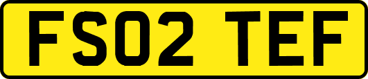 FS02TEF