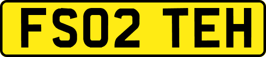 FS02TEH