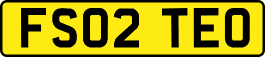 FS02TEO