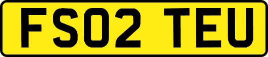 FS02TEU