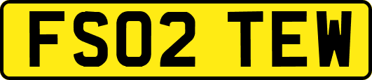 FS02TEW