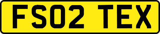 FS02TEX