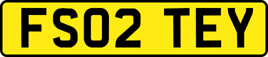 FS02TEY