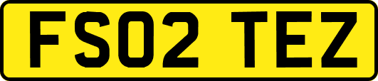 FS02TEZ