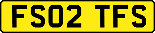 FS02TFS
